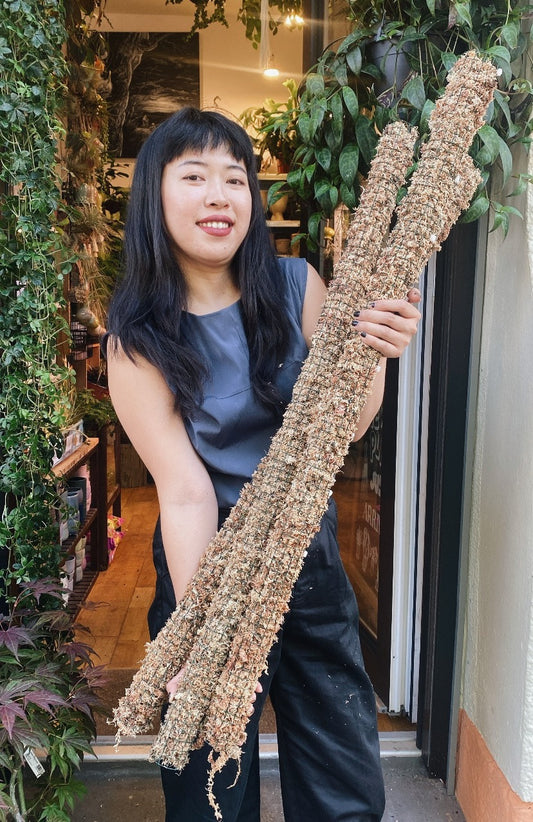 Home Made Moss Pole