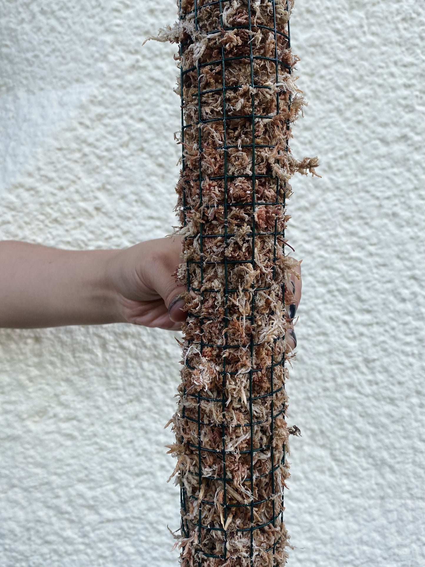 Home Made Moss Pole