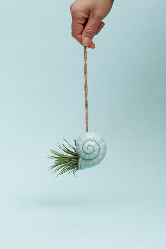 Keramik Luftpflanzenhalter „TOTO“ – Schnecke mit Tillandsia