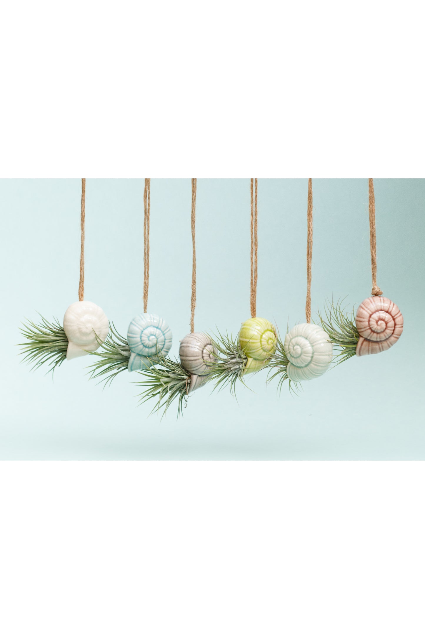 Keramik Luftpflanzenhalter „TOTO“ – Schnecke mit Tillandsia