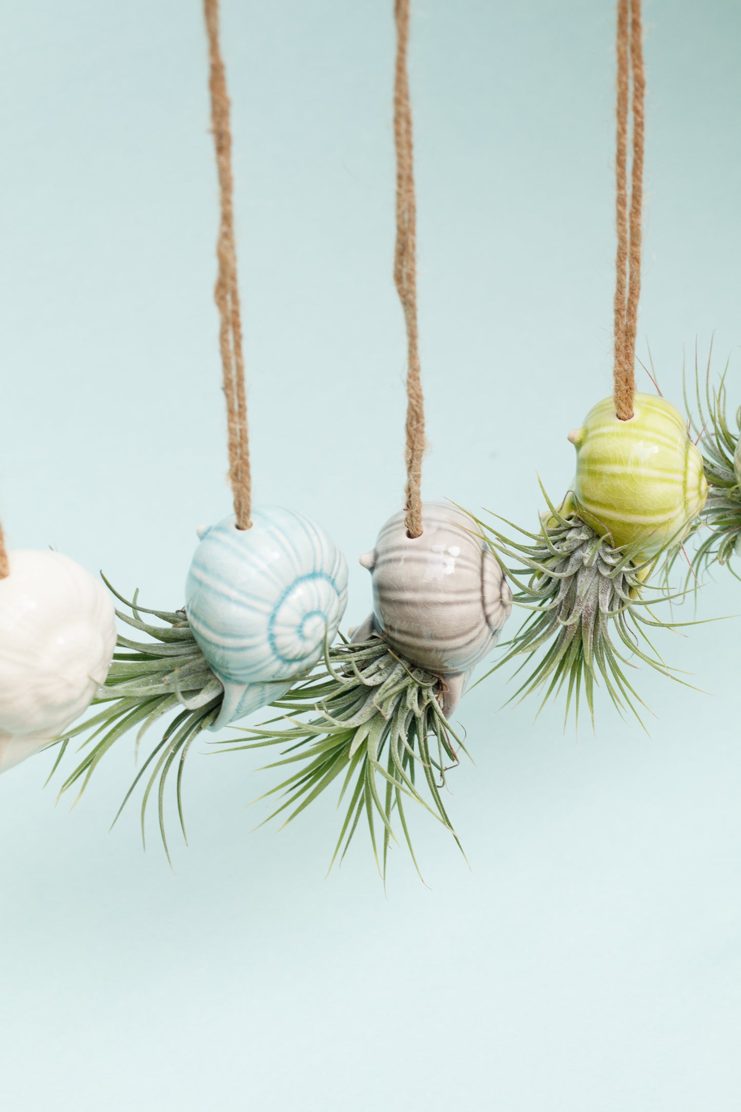 Keramik Luftpflanzenhalter „TOTO“ – Schnecke mit Tillandsia