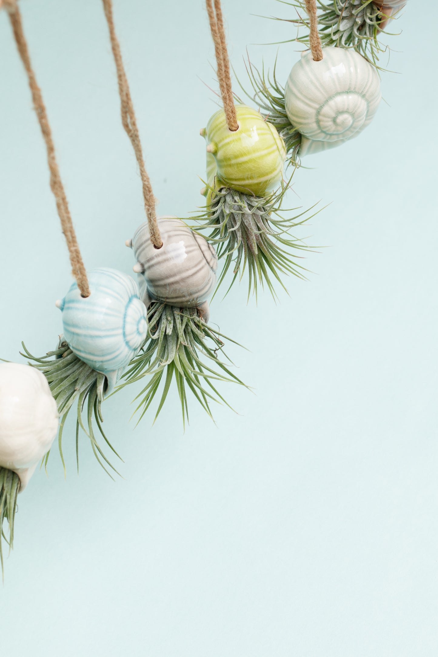 Keramik Luftpflanzenhalter „TOTO“ – Schnecke mit Tillandsia