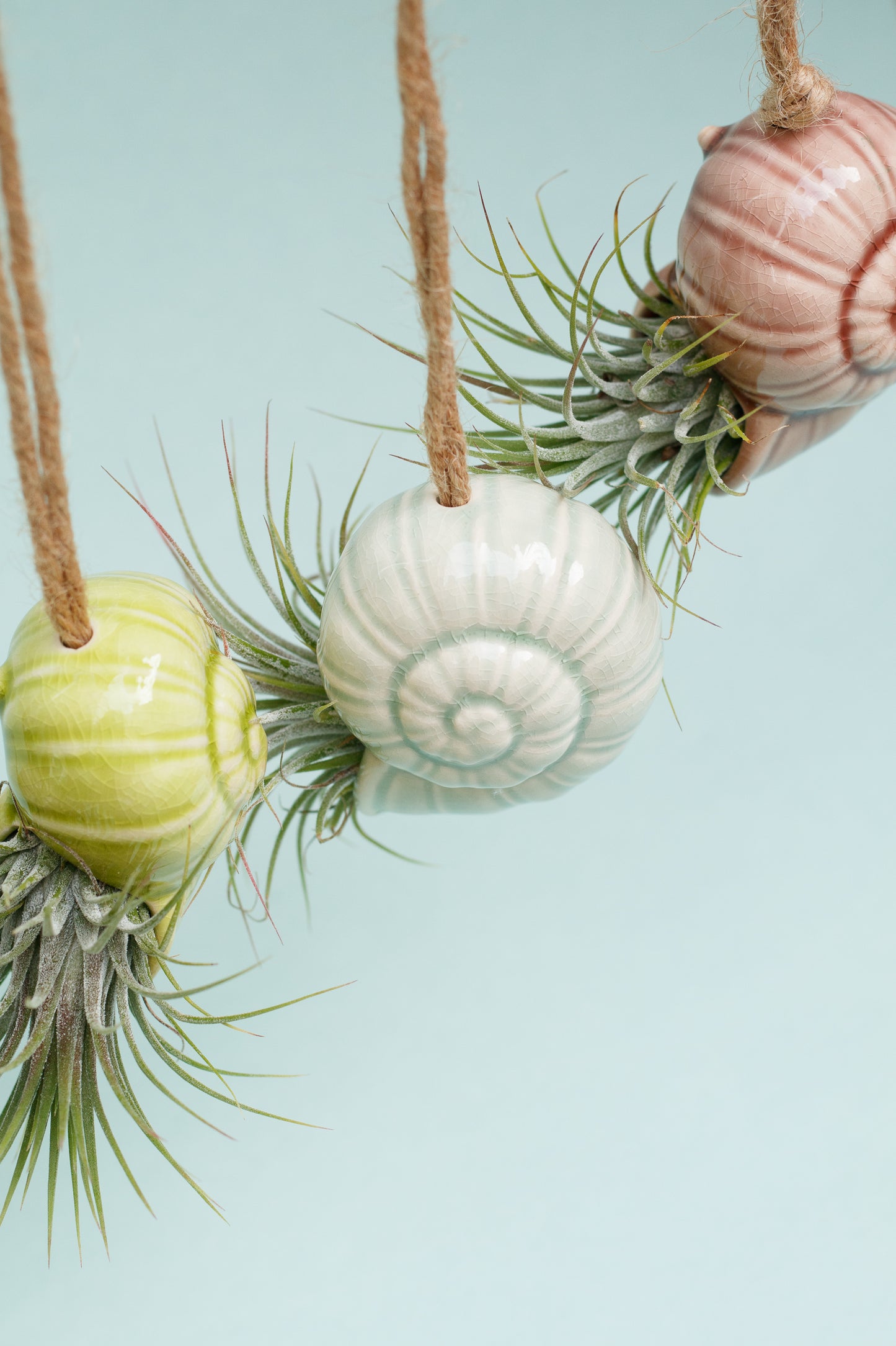 Keramik Luftpflanzenhalter „TOTO“ – Schnecke mit Tillandsia