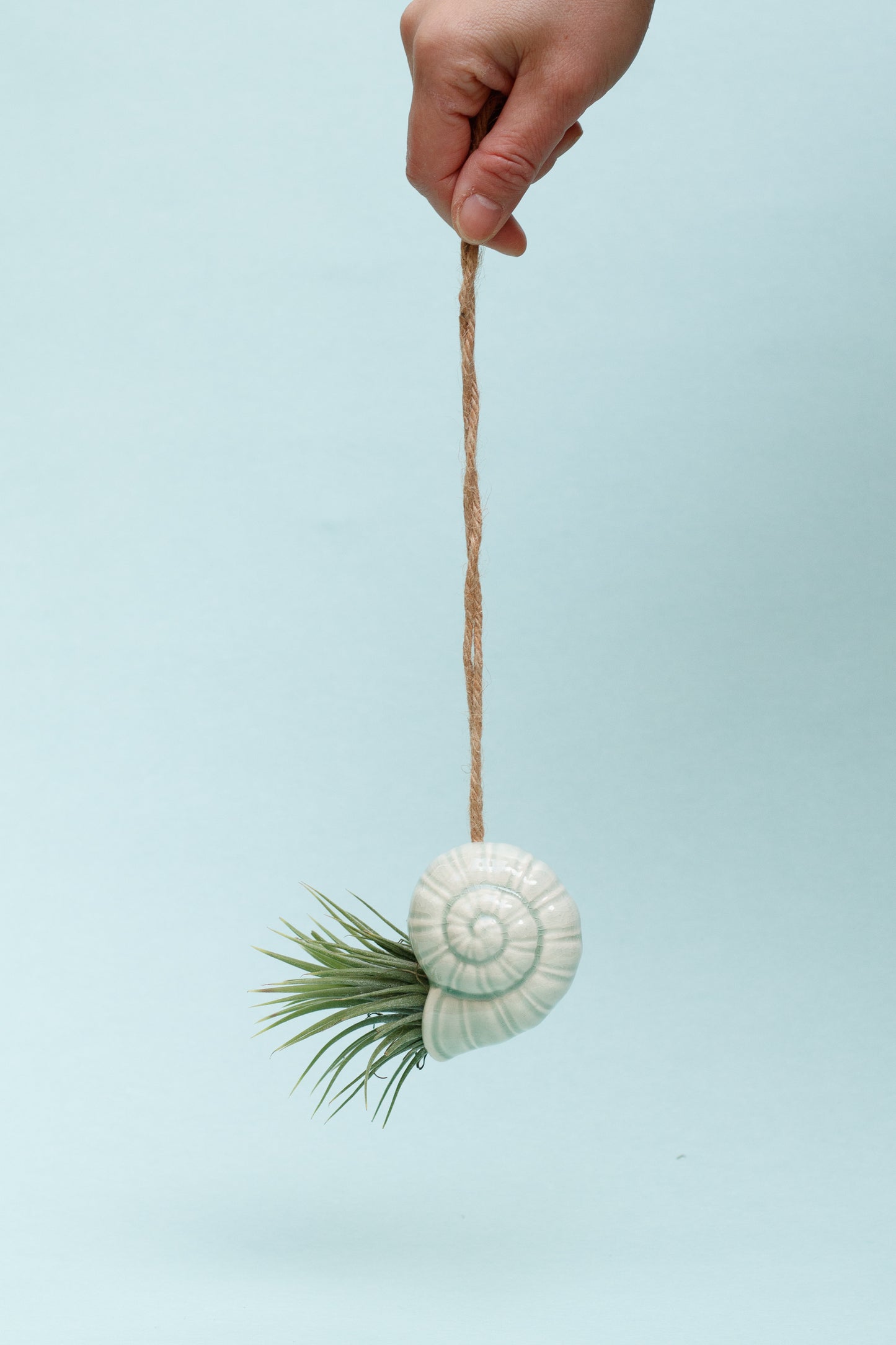 Keramik Luftpflanzenhalter „TOTO“ – Schnecke mit Tillandsia