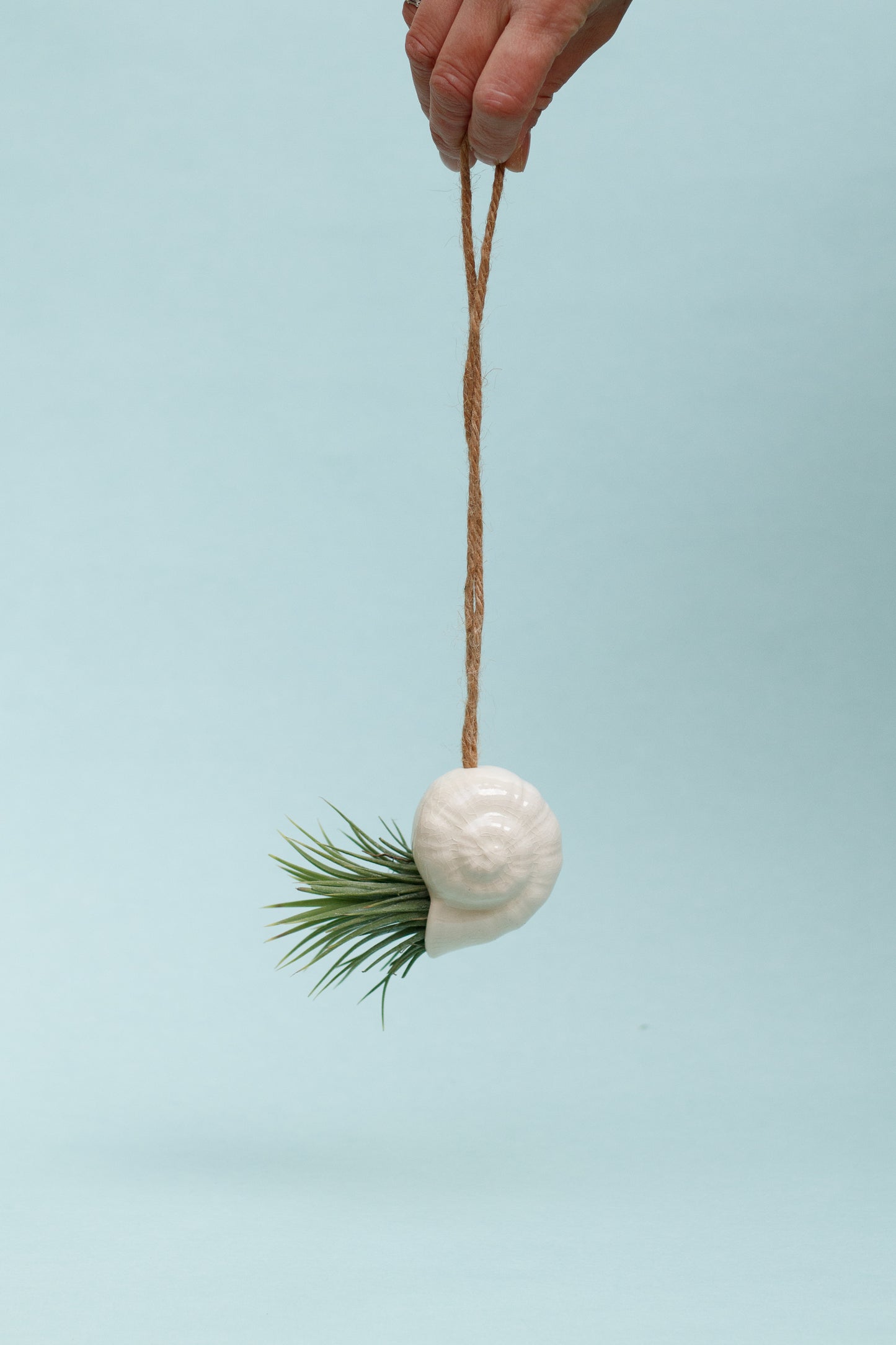 Keramik Luftpflanzenhalter „TOTO“ – Schnecke mit Tillandsia