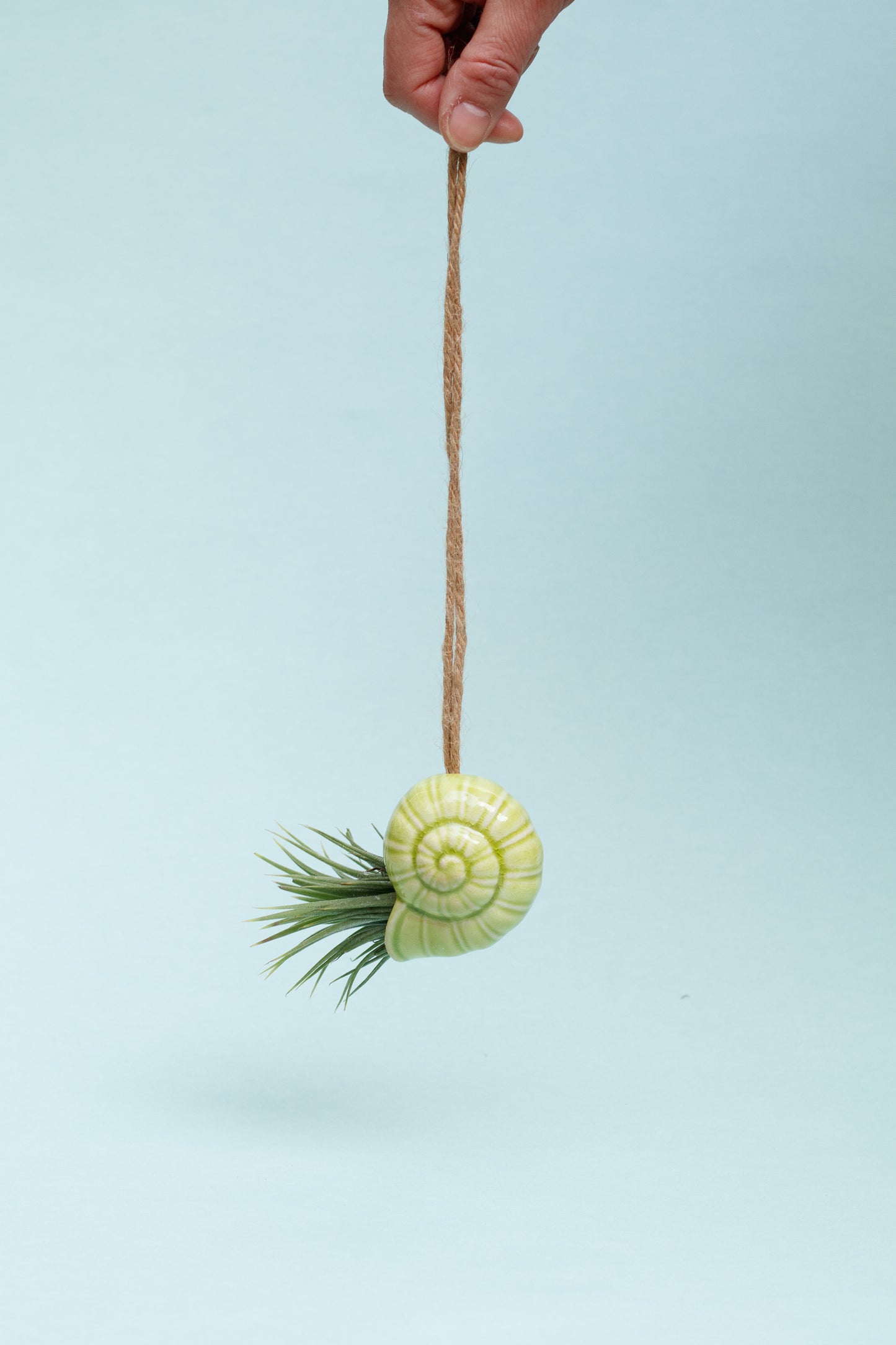 Keramik Luftpflanzenhalter „TOTO“ – Schnecke mit Tillandsia