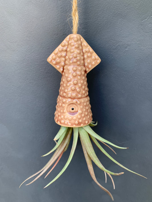 Air Plant Holder KUMO