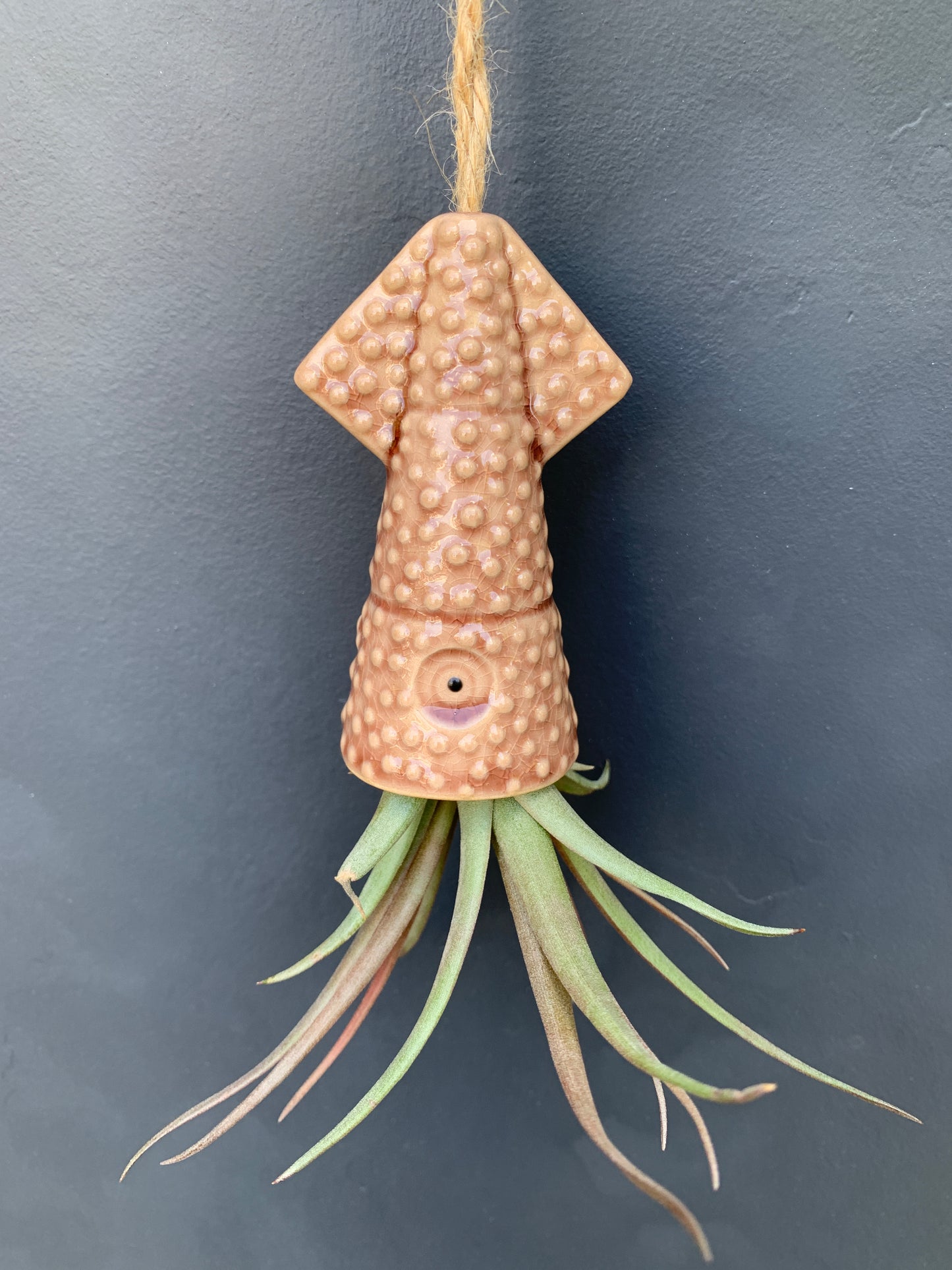 Air Plant Holder KUMO