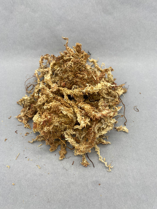 Sphagnum Moss