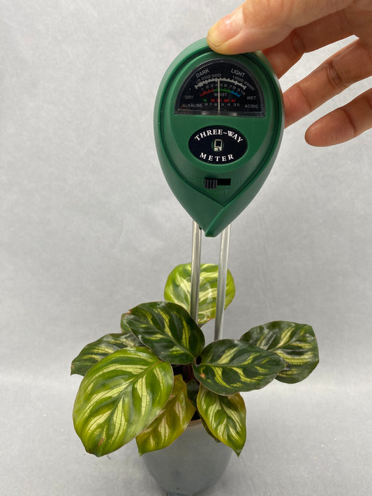 3 Way Soil Moisture Detector