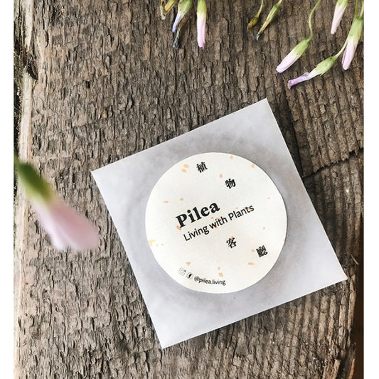 Handmade incense coil