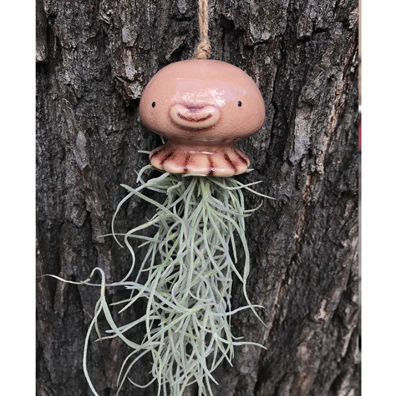 Air Plant Holder NONO